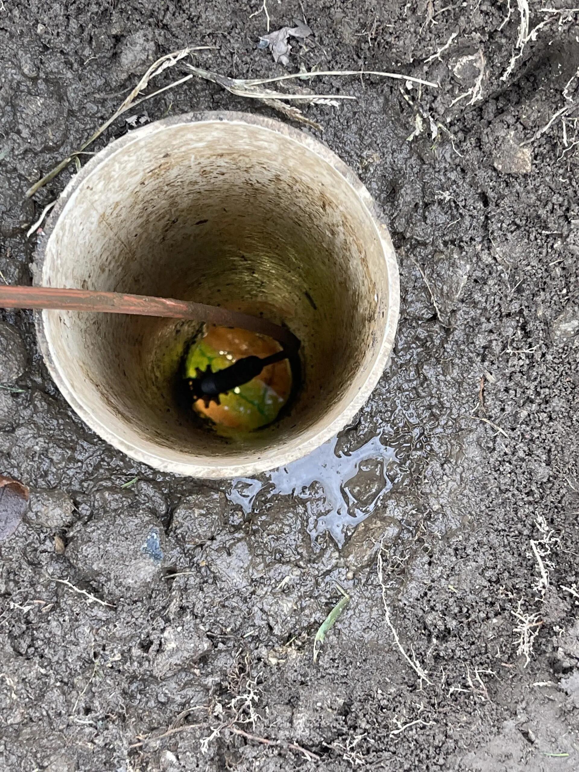 Sewer dye testing