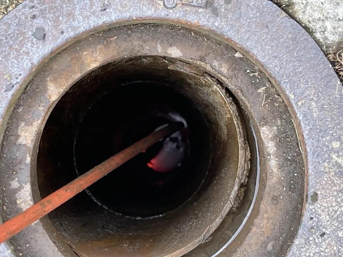 Sewer dye testing services