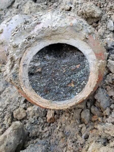 Drain inspection