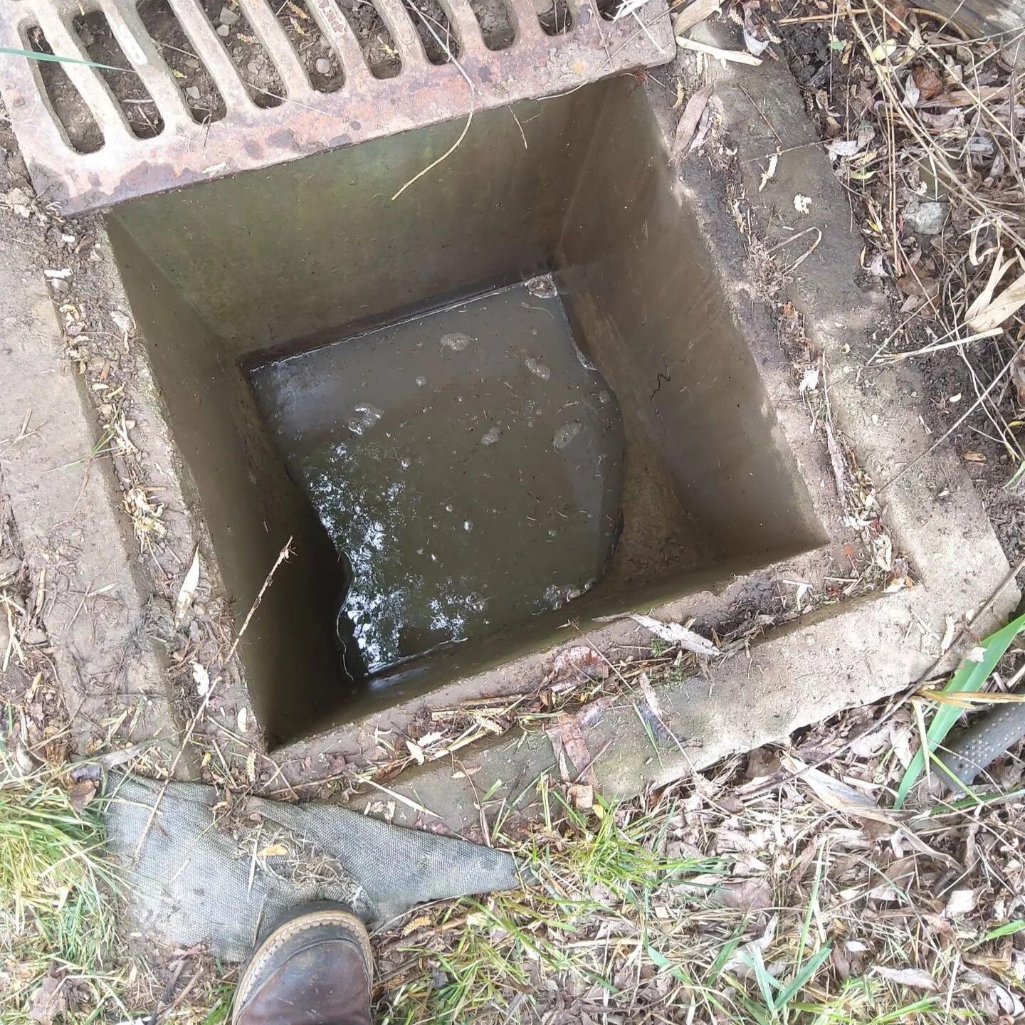 Storm Drain clogged